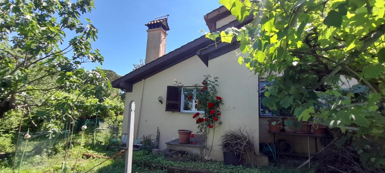Il Glicine Hotel Sutri Buitenkant foto